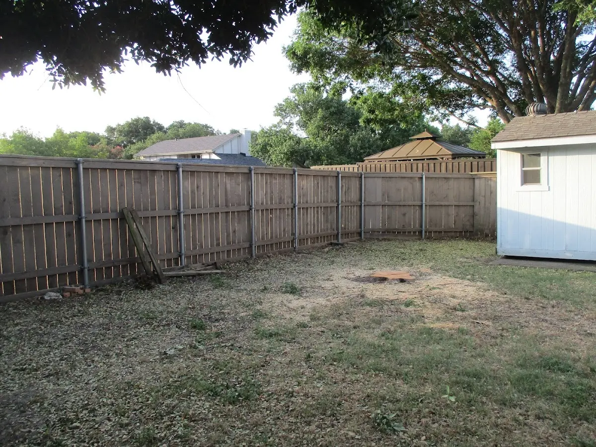 Cleared yard after professional tree removal in Starkweather